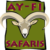 Ayfisafaris